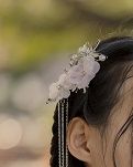 【暗香】花影倚窗人倚楼（轱辘体）​ ​（古韵）