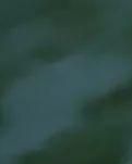 【齐鲁】秋雨绵绵（随笔）