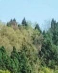 【丁香】九月的井台（散文）