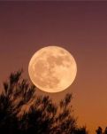 【星月】中秋月夜随想（散文）