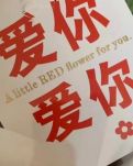 【暗香】躺在树上喝酒的人（散文）