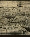 【江山·根与魂】【流年】孤独的梦境（散文）