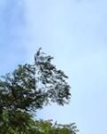 【齐鲁】追寻震撼人心的红色记忆（散文）