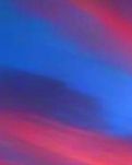 【晓荷·人世间】红棕青春梦（小说）