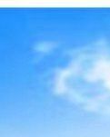 【萌芽】红岩薪火，传承不息 （记叙文）