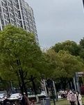 【晓荷·奖】果果的街头历险记（小说）