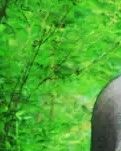 【晓荷.奖】福泽山下的二师兄（小说）