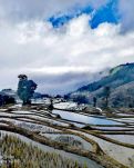 【流年·四季】拥抱哈尼梯田（征文·散文）