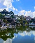 【流年·角色】一座花园的兴衰（征文·散文）