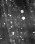 【西风】冬雨（散文）