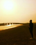 【晓荷】夕映五眼桥（散文）