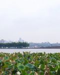 【萌芽】母亲的称呼（散文）