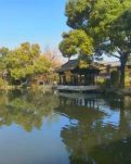 【流年·热爱】曾是惊鸿照影来（征文·散文）