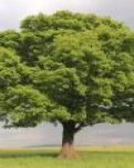 【萌芽】烟台的秋，我的梦与远方（散文）