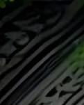 【绿野·春】孤影都是熬灯藏星下（诗歌）