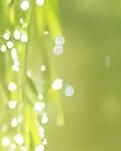 【绿野·春】我们都是这个春天的神话（诗歌）