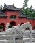 【江山·见证】【晓荷】雨中游白马寺（散文）