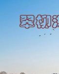 【心灵】翠柳湖迷案（小说）