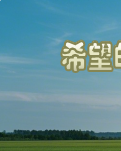 【江山·见证】【心灵】希望的田野（小说）