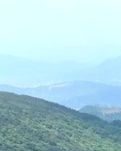 【绿野】绿盈乡村蜕变记（散文）