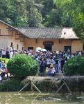 【江山·见证】【晓荷】清明韶山行（散文）