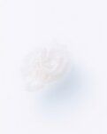 【绿野·夏】我都是送出祝福禅定（诗歌）