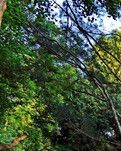 【江山·见证】【心灵】走进陶然亭公园（散文）