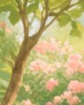 【江山·见证】【晓荷】蝉衣（散文）