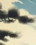 【绿野·秋】八时里挥舞的简帆之夜深篱落（诗歌）
