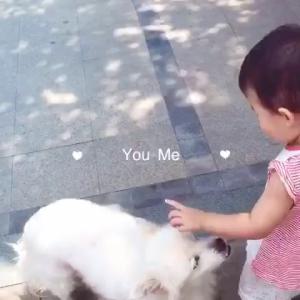 【唱词】屁股岂能让狗舔