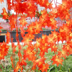 诱人的花朵（记叙文）