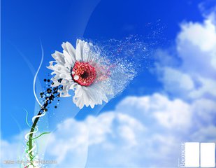 风之梦（随笔）