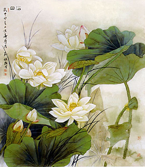 【江南】莲梗幽幽,莲子清秋(散文)