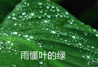 【东篱】那雨（组诗）