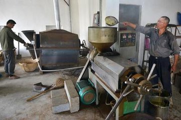 【江山宸光】“”闲不住”的爷爷（小学组散文）