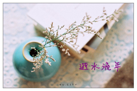 【江山·好声音】【流年】声音的魅力（散文）