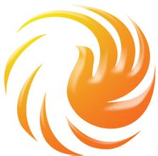 荷塘太阳鸟小说