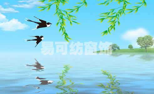 快乐合作鸟