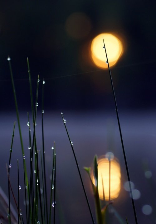 【流年】爷走了，还有娘在（散文外一篇）