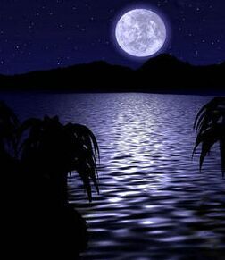 【流年】夜半的湖（组诗）