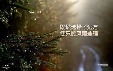 【江山宸光】春秋（中学组随笔）