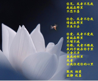 【柳岸·花】仓央嘉措(诗歌)
