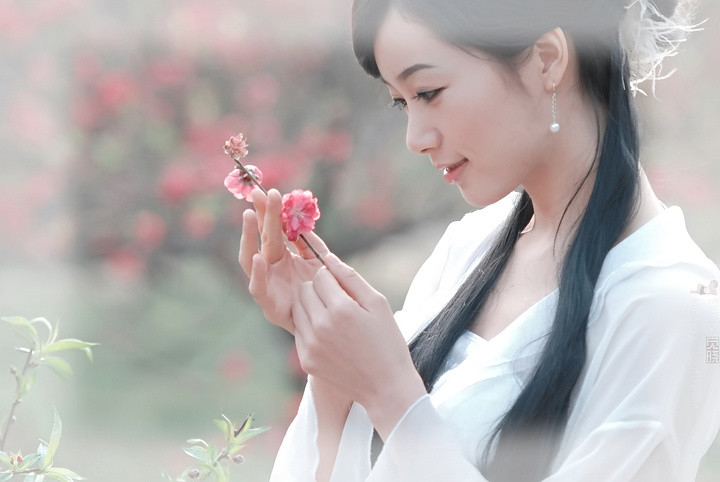 【星月】春风潦草（散文）