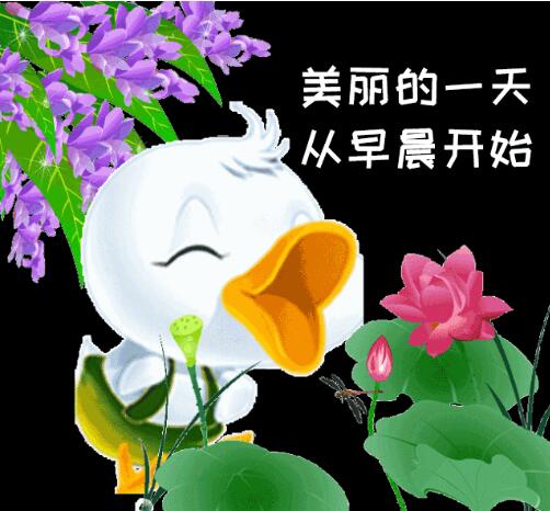 【丹枫】淘气儿归迟了（八幕话剧）