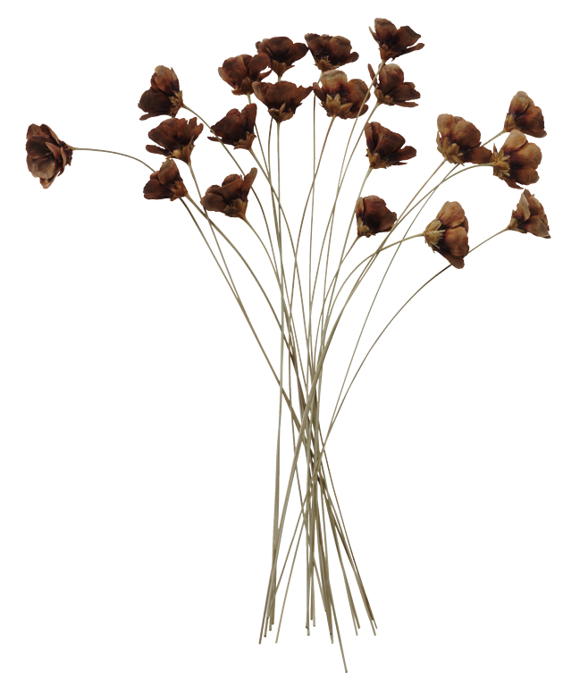 【流年】降临（组诗）