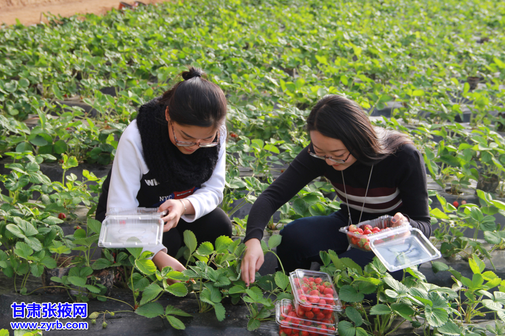 【吉祥】种植的乐趣（散文）