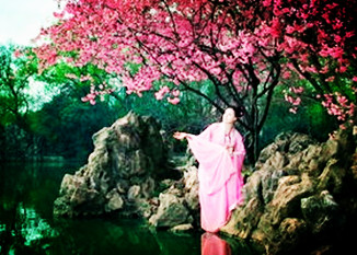 【东篱】来世只记桃花语（古韵/文赋）