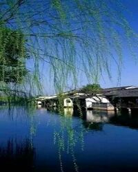 【家园】父亲的私房钱（微型小说）