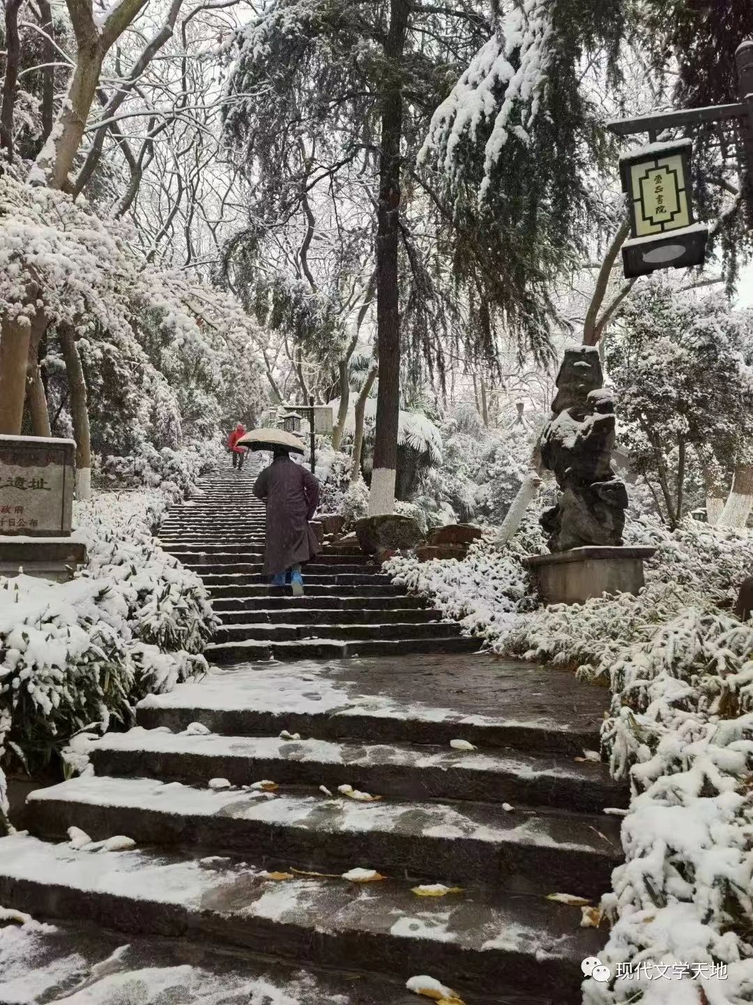 【家园】冬雪之思（散文）