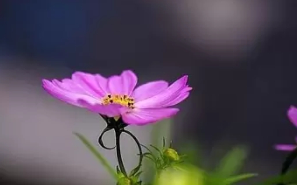 【浪花·感动】草色返青（组诗）